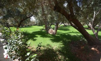 Riad le Jasmin