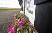Hestaland Guesthouse Horse Farm Stay - con vistas a la montaña