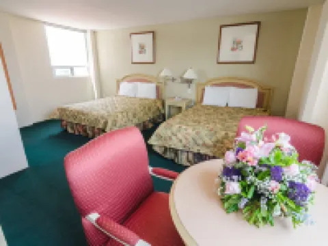 Hotel San Francisco Irapuato Business Class Hoteles en Irapuato