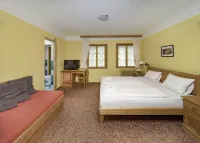 Alpský Hotel Hotels in Шпіндлерув-Млин