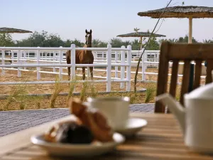 Anantara Sir Bani Yas Island Al Sahel Villas
