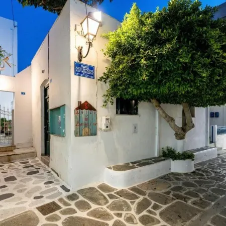 Pelican Paros