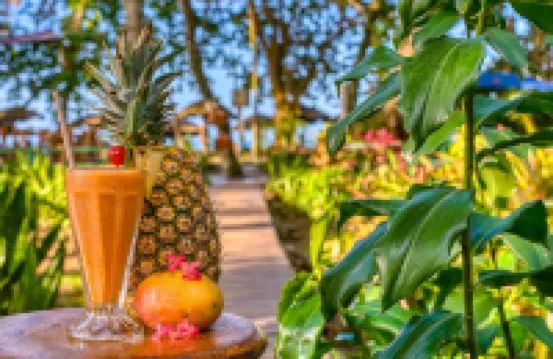 芭娜娜阿祖爾酒店-限成人 維赫港酒店