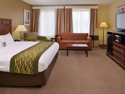 Comfort Inn Hotel a Dickson