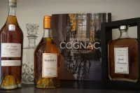 Hotel Cardinal Bordeaux Centre - Barer