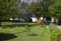 Chambres d'Hôtes la Maison Blanche