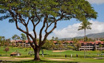 Aston at the Whaler on Kaanapali Beach