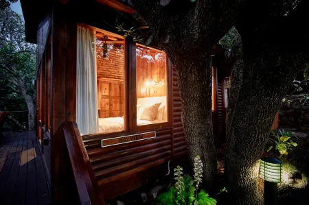 Under Milkwood Resort Отели в г. Книсна