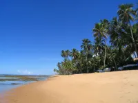Pousada Ogum Marinho Hotels in Praia Do Forte