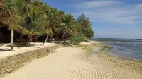 Wakatobi Patuno Diving and Beach Resort by Sahid - Bãi đậu xe