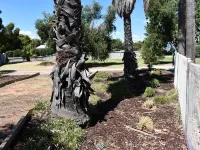 Berrigan Motel Hotels in Barooga