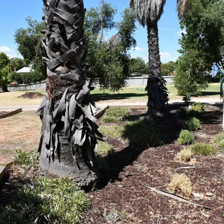 Berrigan Motel
