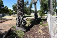 Berrigan Motel