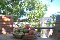 Miti Miwiri