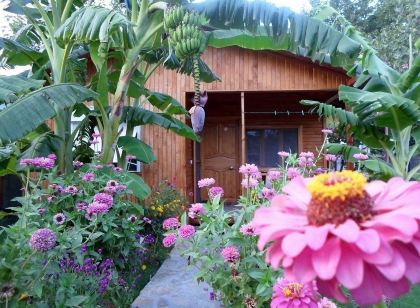 Estelar Bungalow