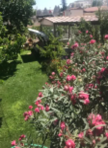 家庭洞穴套房酒店 鄰近Airport Transfer Company的酒店