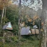 Eastwind Hotel Oliverea Valley Hotels in Phoenicia