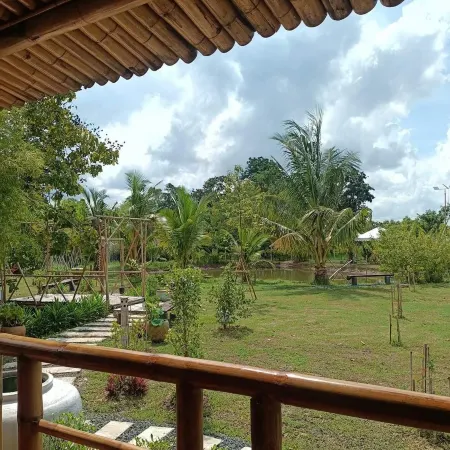 Bamboo Conservation Farm