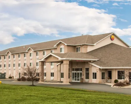 Comfort Inn & Suites Dimondale - Lansing
