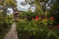 Cotton Tree Lodge Hotels near Tunich Ha
