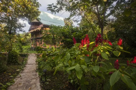 Cotton Tree Lodge Отели в г. Пунта-Горда