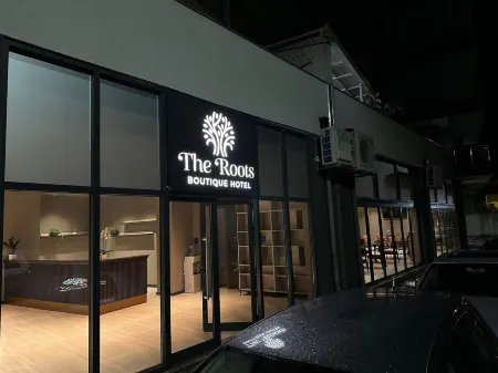Boutique Hotel The Roots Отели в г. Shkodra