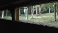 Bear Watching and Photography Hide - 3-Star