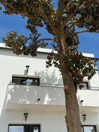 Casa Yanguas Apartamentos Rurales EN Laujar de Andarax Отели в г. Лос Филабрес-Табернас