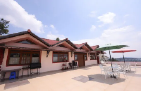 เดอะ ฟอเรสต์ เฮเวน