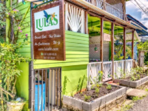 ลูลา เบดแอนด์เบรคฟาสต์ โรงแรมในโบกาสเดลโตโร