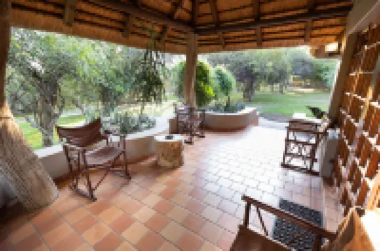 밀리마 빅 5 사파리 로지