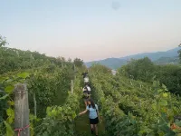 House in the Vineyard Hotels in 