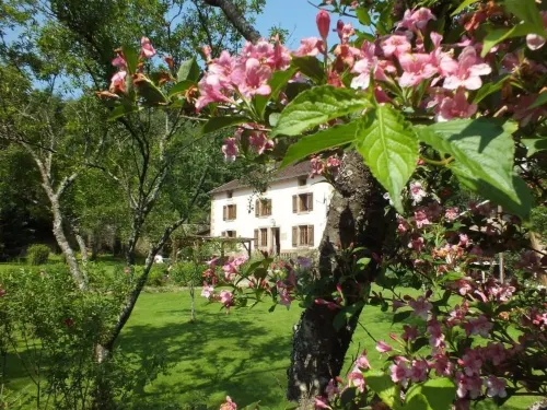 Chambres d'hôtes la Charmante Hotels in Plombieres-les-Bains