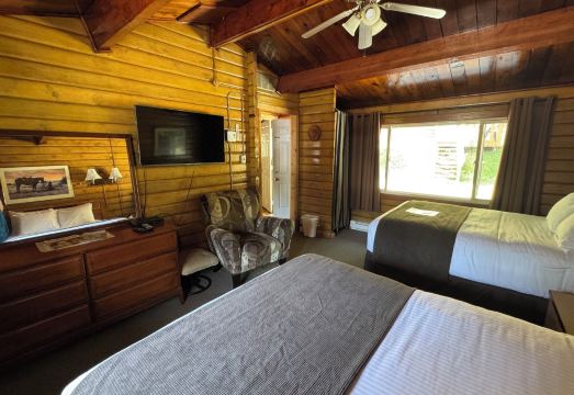 키티맷 로지 이미지