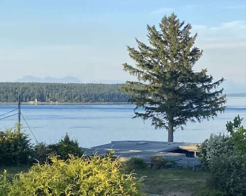 Spacious one bedroom suite Hotels in Campbell River