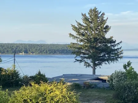 Spacious one bedroom suite