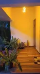 Cozy Glass Villa home. Five minutes walk to the happening Varkala cliff Hotels in Varkala