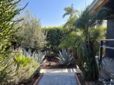 Designed by an la Based Architect with a Front Yard in the Heart of La.