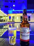 Aotel Hotel Lagos Ikeja - bar