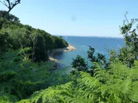 SEA BRIGHT