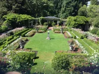 Birds of a Feather Victoria Oceanfront Studio Suites