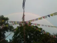 裏奇託夫酒店和咖啡廳