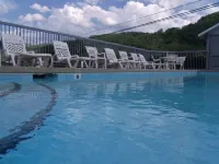 Four Seasons Inn Hotels in Haywood County
