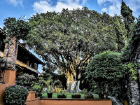 โรงแรม Posada San Angelo โรงแรมในเกวร์นาวากา