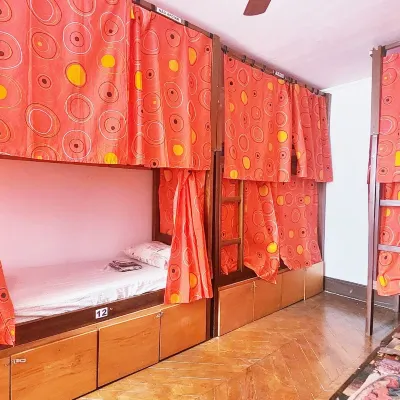 Red Monkey Hostel Barra Funda エスパソ・ダス・アメリカス周辺のホテル