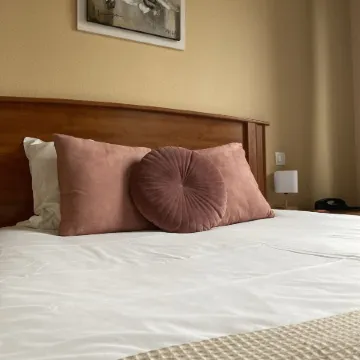 Logis Hôtel Restaurant Spa le Tosny