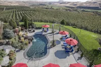 Cameo Heights Mansion and the Vine Fine Dining Restaurant - Pools