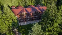 Ana Hotels Bradul Poiana Brasov - Gym