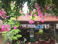 Tam Coc Tropical Garden Hotels in 