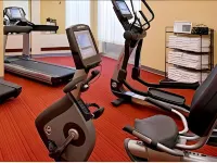 Hyatt Place Detroit/Novi - Træningscentre